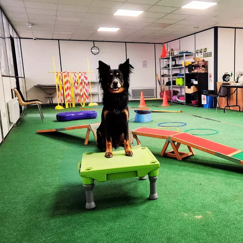 Salle de jeux, au Village Canin